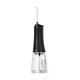Portable irrigator VEGA VT-1500 B