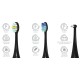 Set of attachments Vega VT-100 B for sonic toothbrush VT-800 B (black) Complete set